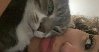 camillia pet sitter à ANTIBES 06600_0