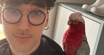 kevin pet sitter à NANTES 44000