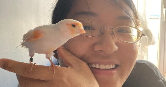 ruimin pet sitter à PARIS 13 75013_5