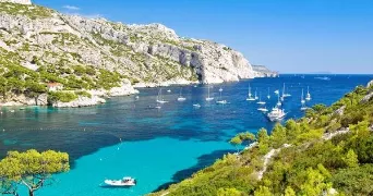 enzo pet sitter à BRIGUEIL LE CHANTRE 86290