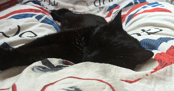 inès pet sitter à BURES SUR YVETTE 91440_3