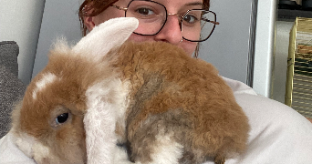 charline pet sitter à VILLEPARISIS 77270_9