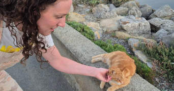 esthelle pet sitter à NARBONNE 11100_6