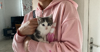 romane pet sitter à BURES SUR YVETTE 91440_3