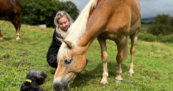 adeline pet sitter à MONTCEAU LES MINES 71300_0