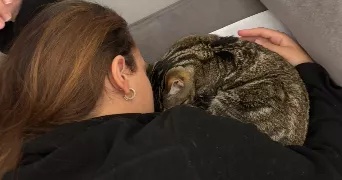 swan pet sitter à MARSEILLE 13 13013