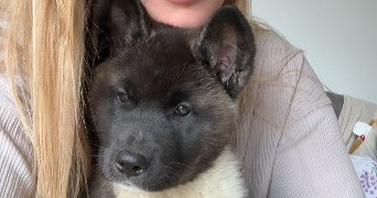 emma pet sitter à BLAIGNAC 33190_1