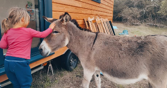 laury pet sitter à MACHECOUL ST MEME 44270_3