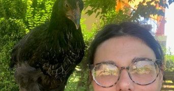 estelle pet sitter à MARZY 58180_2