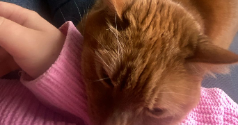 maya pet sitter à VILLEPINTE 93420_1