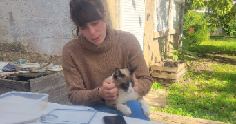 camille pet sitter à LYON 08 69008_0