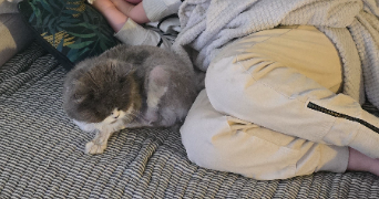 pauline pet sitter à DUNKERQUE 59240_4