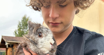 gabin pet sitter à LILLE 59000_0