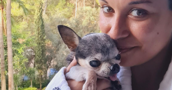 monia pet sitter à MAGNY LE HONGRE 77700_1