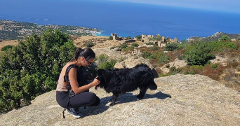 julie pet sitter à DRAGUIGNAN 83300_3