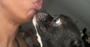 amari pet sitter à SANNOIS 95110_3