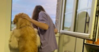 soline pet sitter à Lannion 22300_10