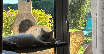 azéline pet sitter à Ymare 76520_5