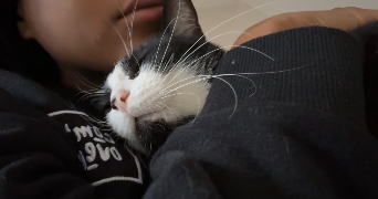 mahé pet sitter à PARIS 12 75012_2