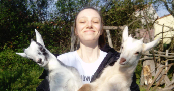 lilou pet sitter à BOUGUENAIS 44340_1