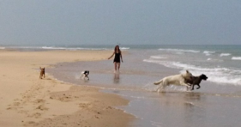 héléna dog sitter à SIGEAN 11130_2