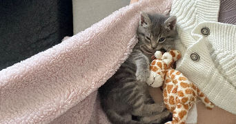 zoé pet sitter à CASTELNAU LE LEZ 34170_7