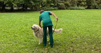 charlotte pet sitter à CAVAILLON 84300