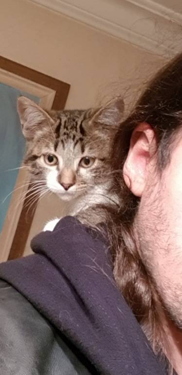 Philippe-Alexandre pet sitter à Paris 75009_3
