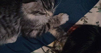 ilef pet sitter à MENTON 06500_3
