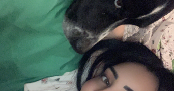 antoinette pet sitter à MEYLAN 38240_6