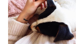 Élise  pet sitter à Rouvres en plaine 21110_4