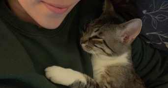 hélène cat sitter à MONTPELLIER 34000_4