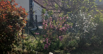 hélène pet sitter à PERRIGNY SUR L OGNON 21270_2