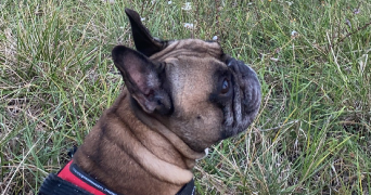 anna pet sitter à VINCENNES 94300_4