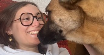 laura pet sitter à ANGERS 49100_2