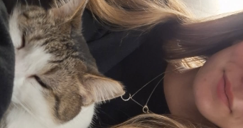 marie pet sitter à TOURNEFEUILLE 31170_2