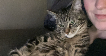 camille pet sitter à TOURS 37000_2