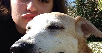 celine pet sitter à LANNION 22300_3