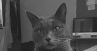 aurélie pet sitter à UZES 30700_0