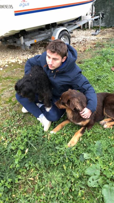 Julien dog sitter à Lasseube-Propre 32550