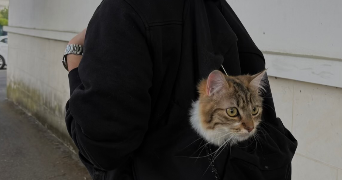alexandre pet sitter à LA ROCHELLE 17000_3