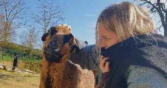 inès pet sitter à POITIERS 86000