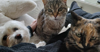 méonya pet sitter à PESSAC 33600_3