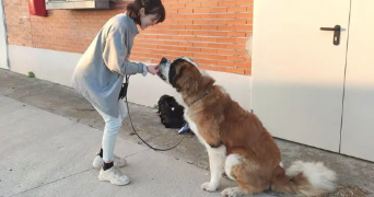 emma pet sitter à SCEAUX 92330_7