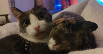 anne-catherine  pet sitter à Marignier 74970_4