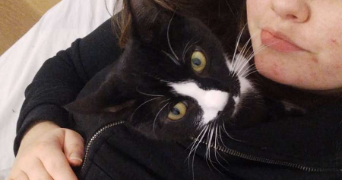 clara pet sitter à FONSORBES 31470_3