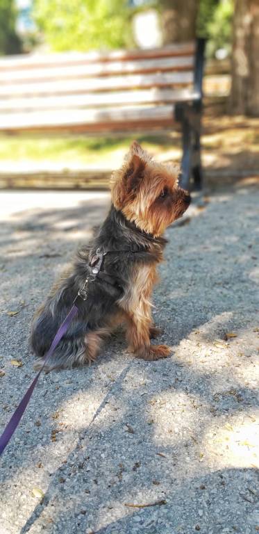 Maria pet sitter à Aix-en-Provence 13100_6