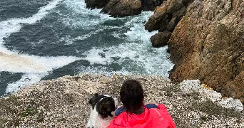 catleen pet sitter à SEREILHAC 87620
