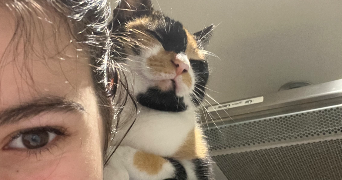 oriane pet sitter à TALMONT ST HILAIRE 85440_1