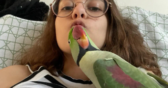 chloé pet sitter à MONTBELIARD 25200_2